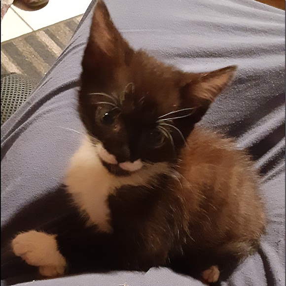 Meet your Posher, Dwana - Picture 12 of 16